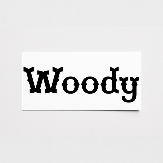 Vinyl Campervan Name Decal - Font 23